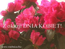 Trzebnica! Trzebnicki serwis kartkowy - z serdecznymi życzeniami!